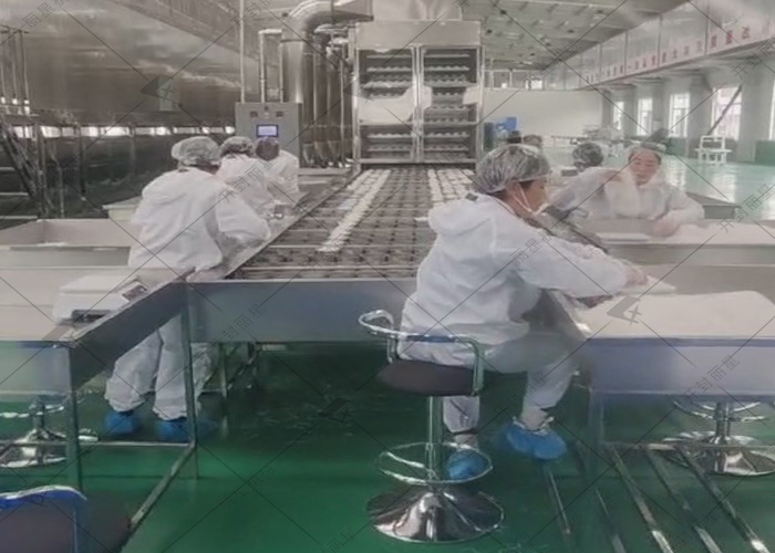 山西日產10噸的粉絲生產線試機現場