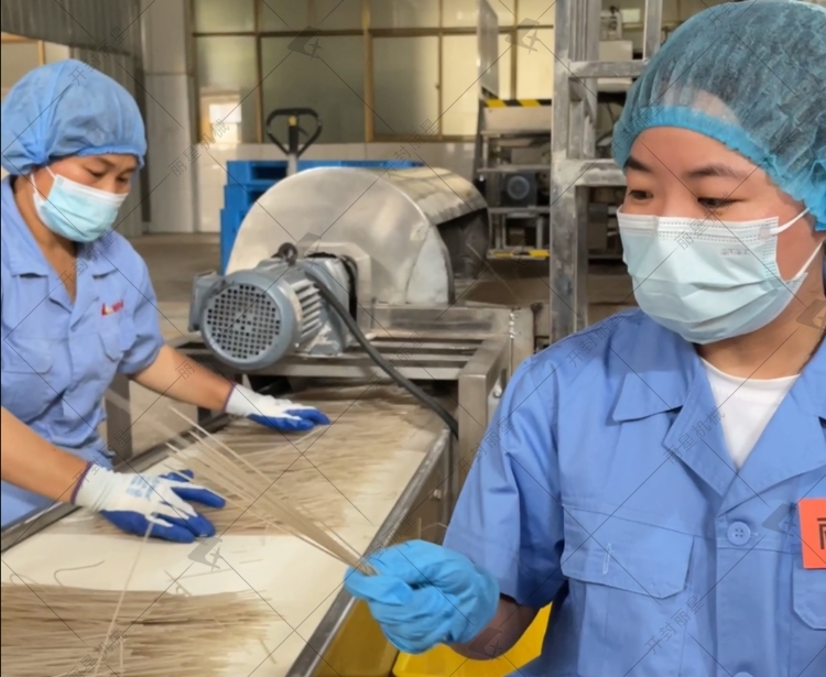 自動化粉條生產線工藝亮點與特點你知道哪些？